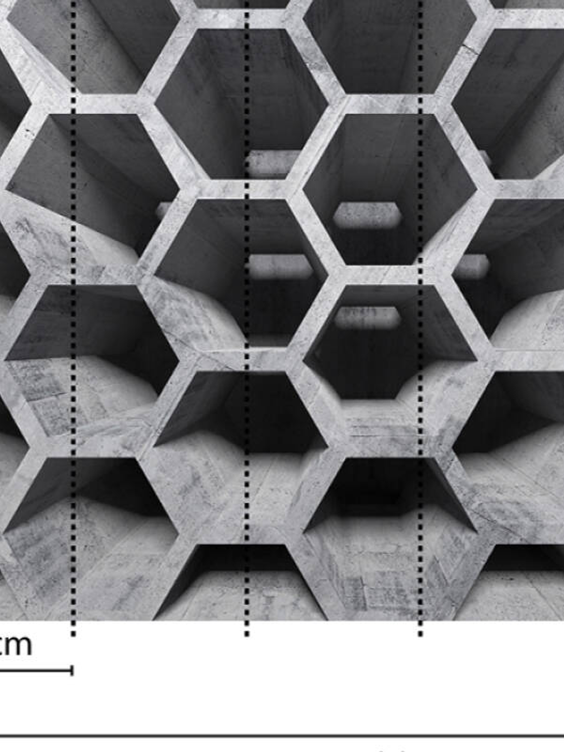 HONEY COMB STRUCTURE 1 3