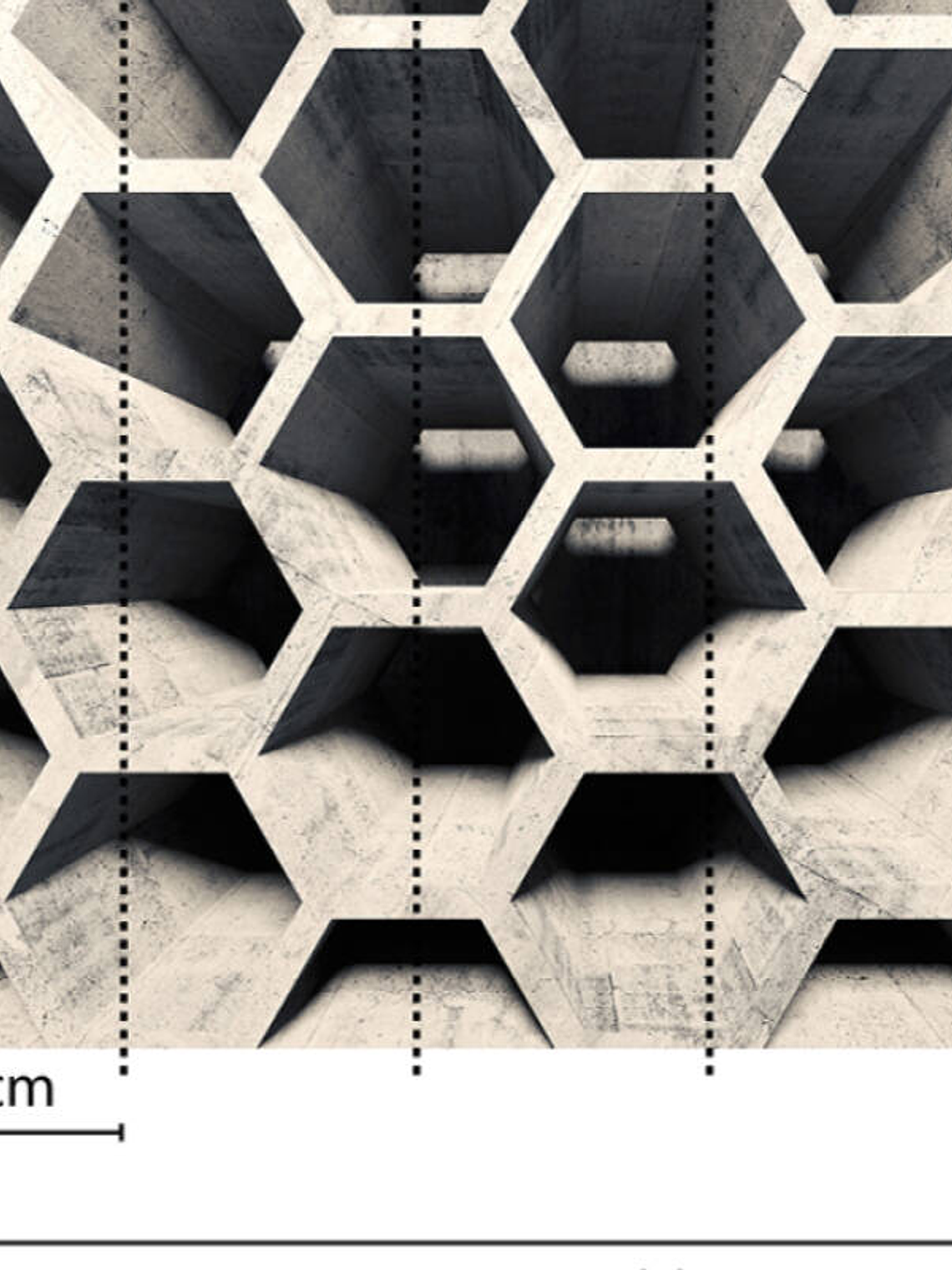 HONEY COMB STRUCTURE 2 3