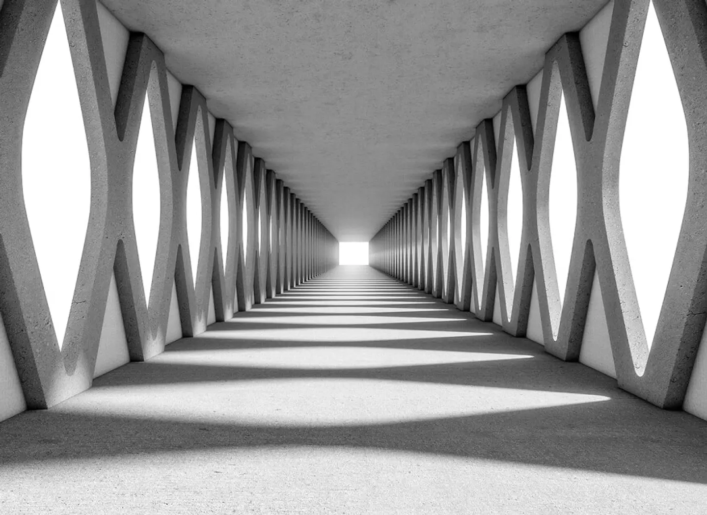 GREY AISLE  1