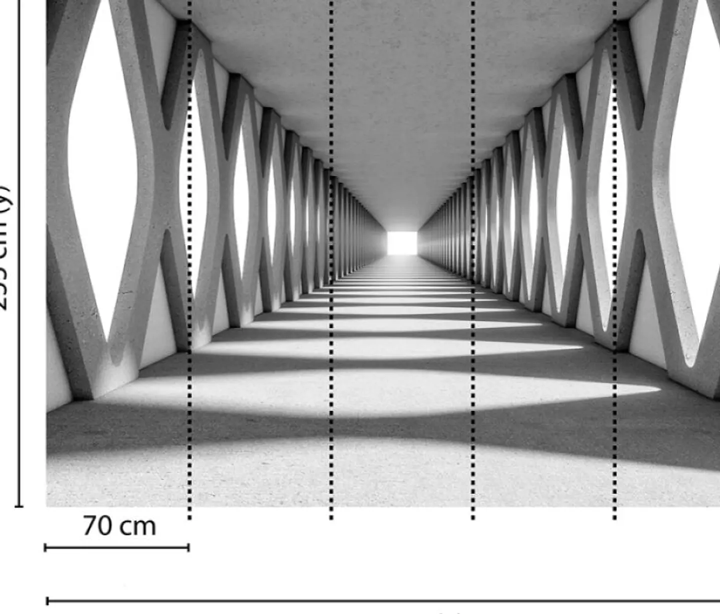 GREY AISLE  3