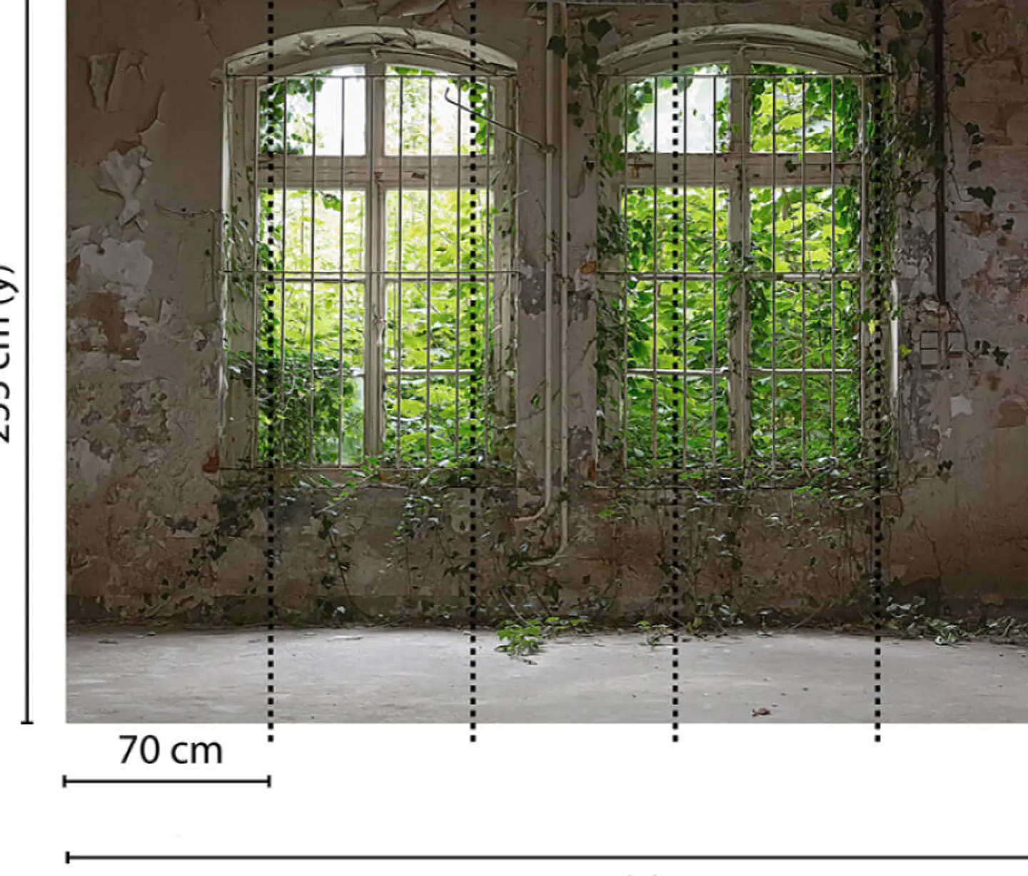 OLD WINDOW 3