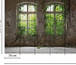 OLD WINDOW - thumbnail 3