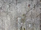 OLD CONCRETE - thumbnail 1