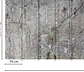 OLD CONCRETE - thumbnail 3