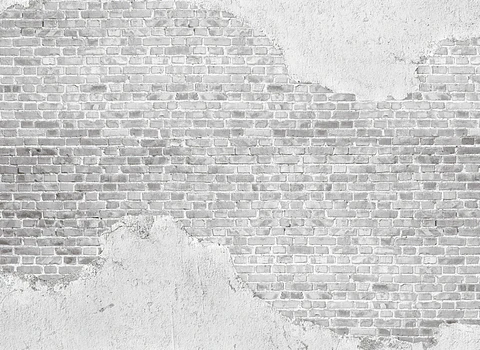 OLD BRICK WALL