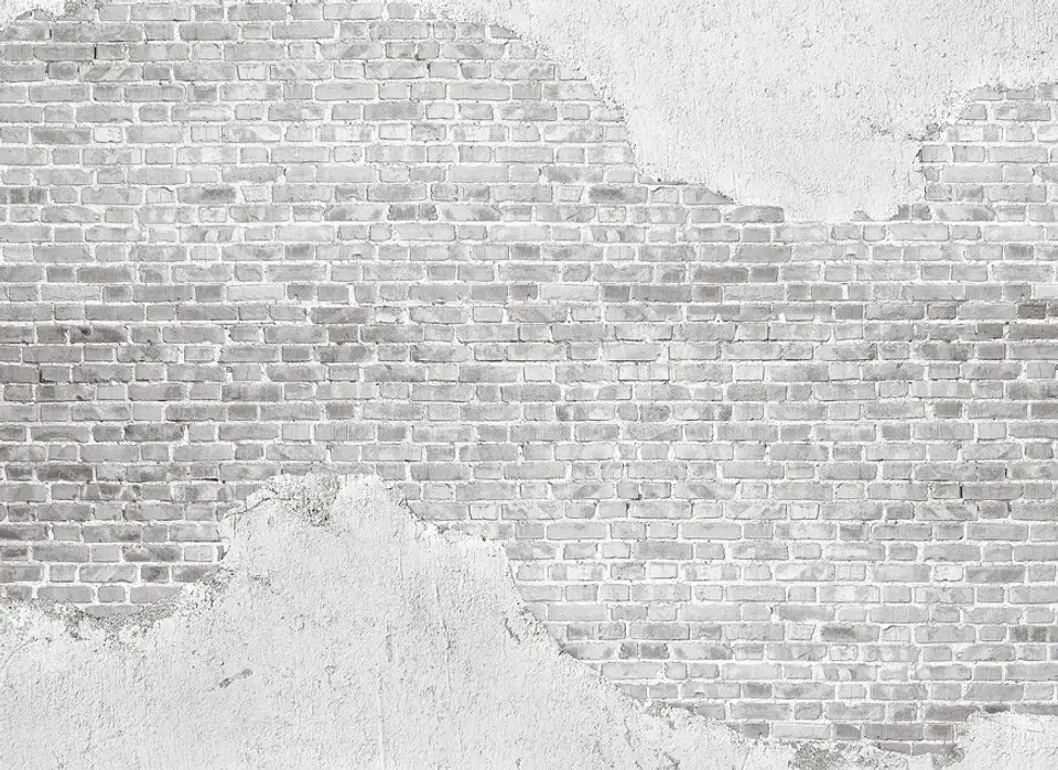 OLD BRICK WALL 1