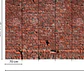 BRICK RED - thumbnail 3