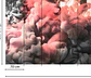 COLORED SMOKE 2 - thumbnail 3