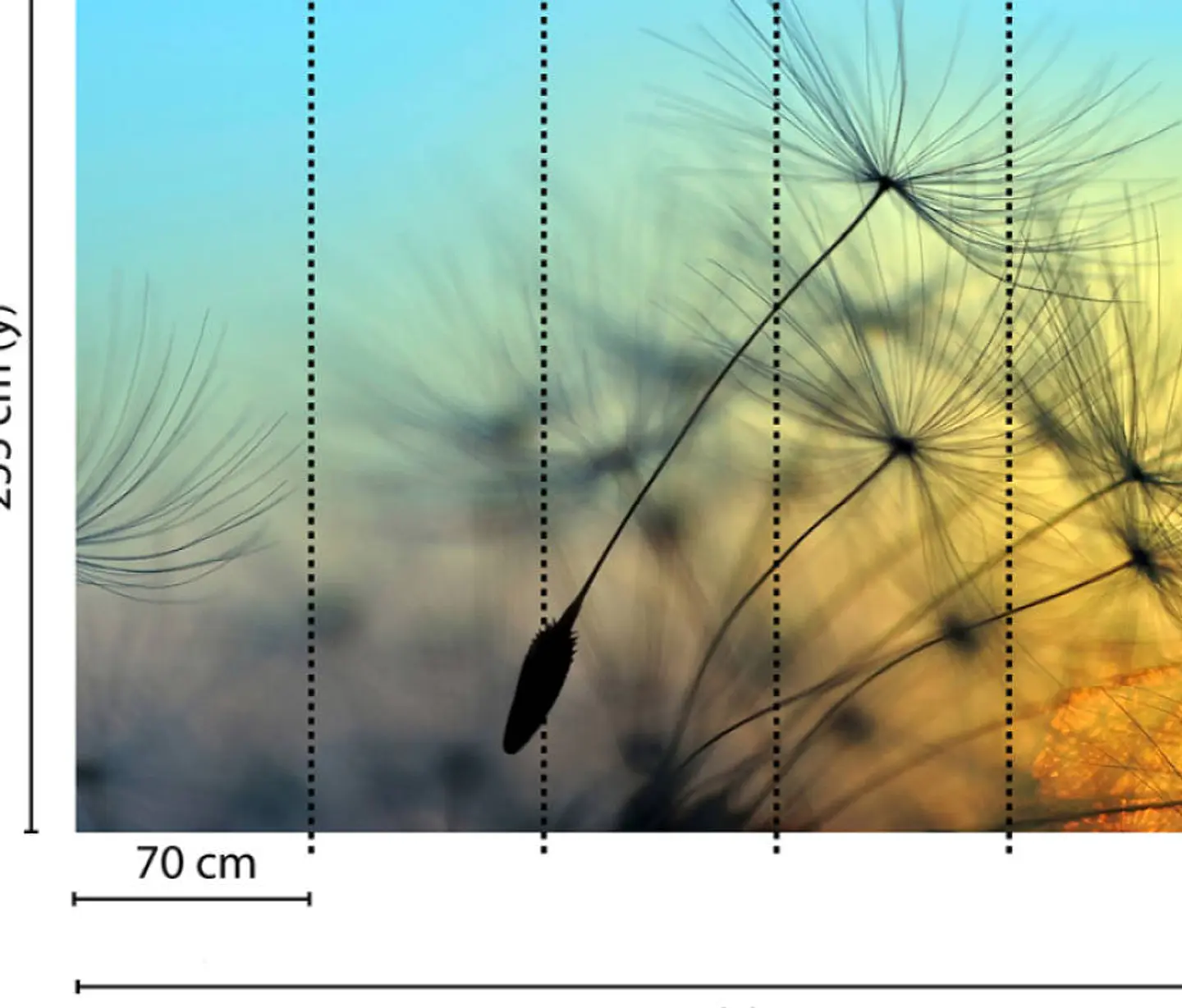 FLYING DANDELION 1 3