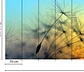FLYING DANDELION 1 - thumbnail 3