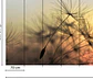 FLYING DANDELION 2 - thumbnail 3