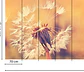 DANDELION 1 - thumbnail 3
