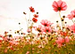 FLOWER MEADOW 1 - Miniatura 1