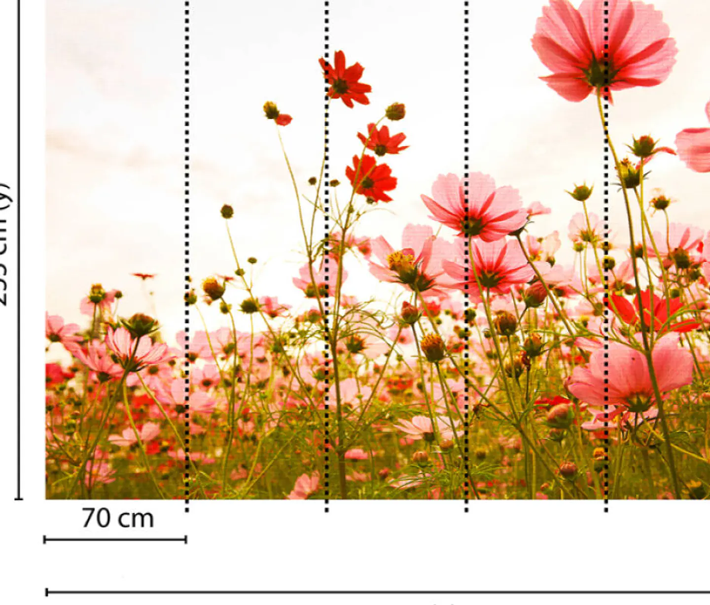 FLOWER MEADOW 1 3