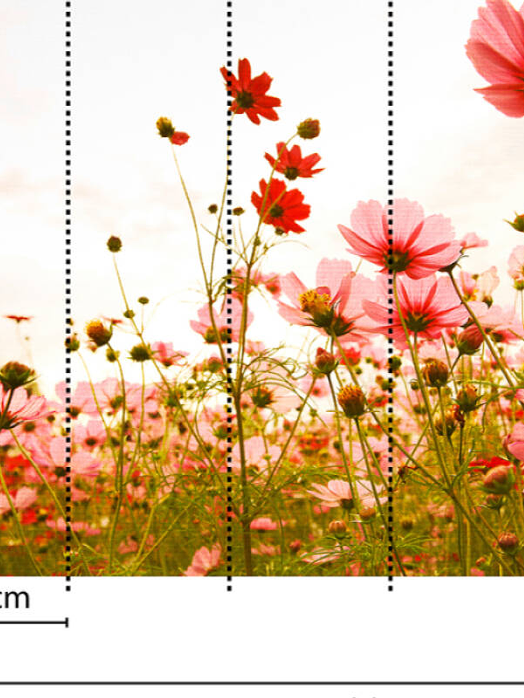 FLOWER MEADOW 1 3