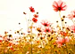 FLOWER MEADOW 2 - Miniatura 1