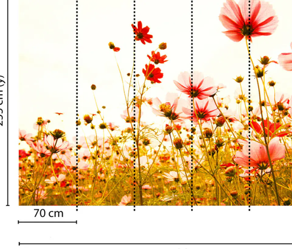 FLOWER MEADOW 2 3