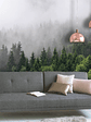 FOGGY FIR TREES - Miniatura 2