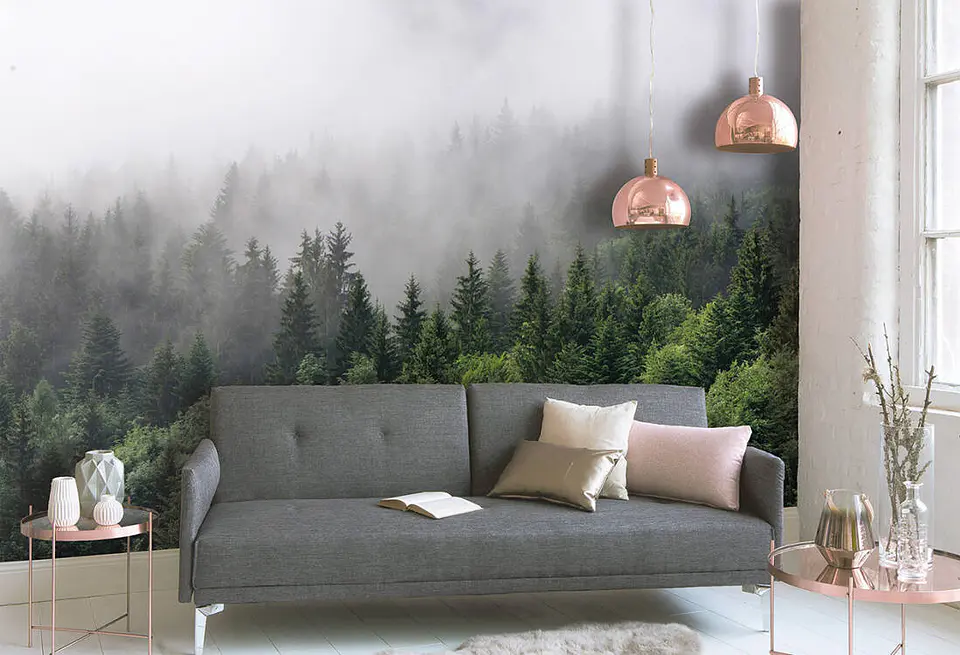 FOGGY FIR TREES 2