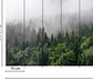 FOGGY FIR TREES - Miniatura 3