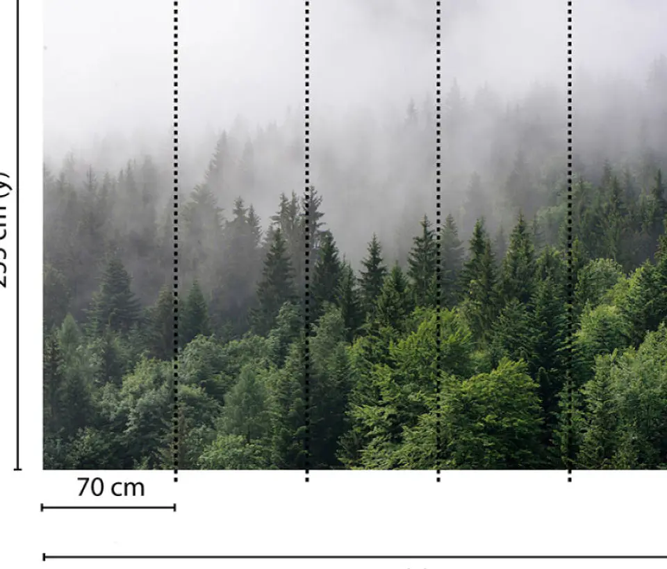 FOGGY FIR TREES 3