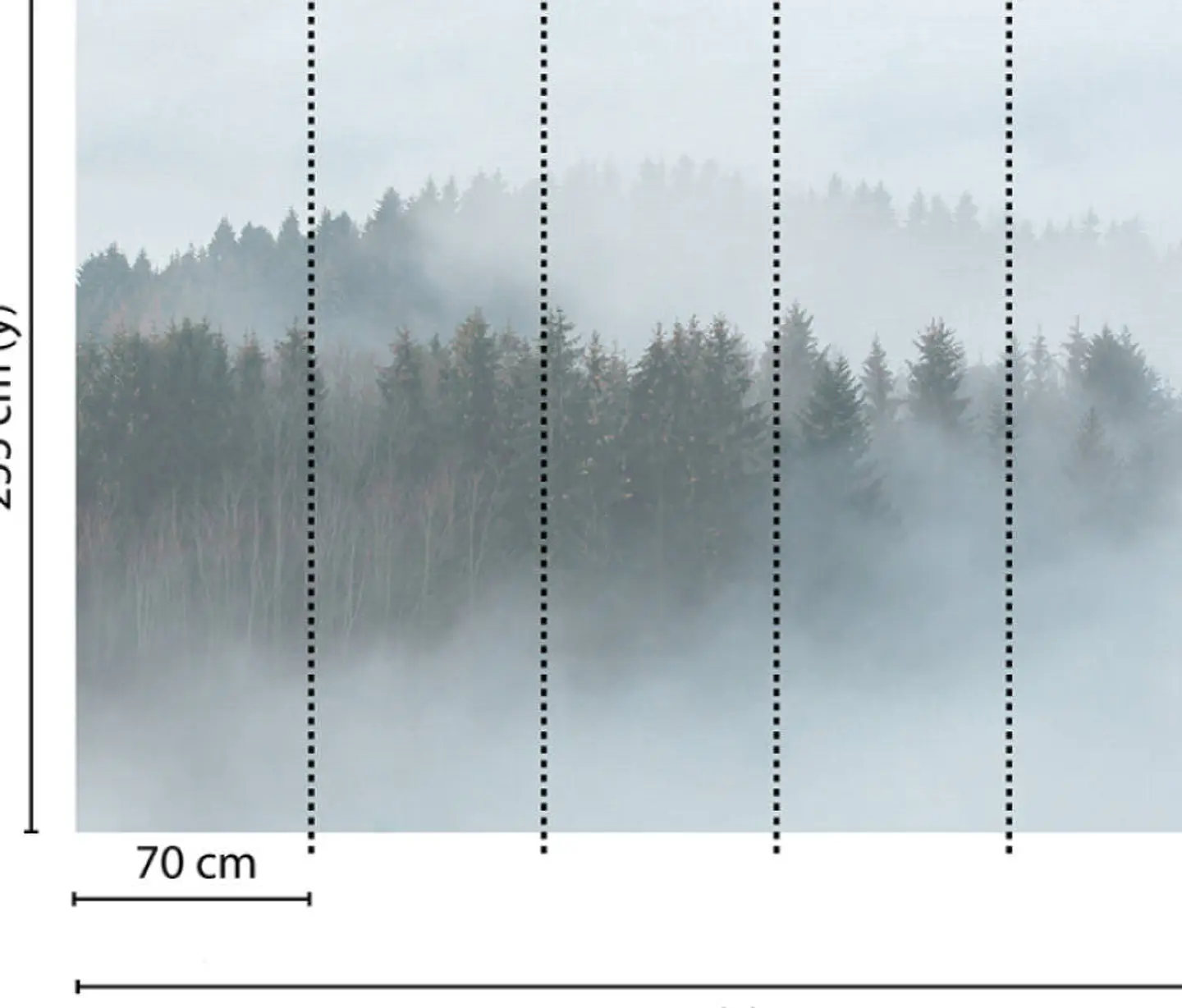 MISTY FOREST 3