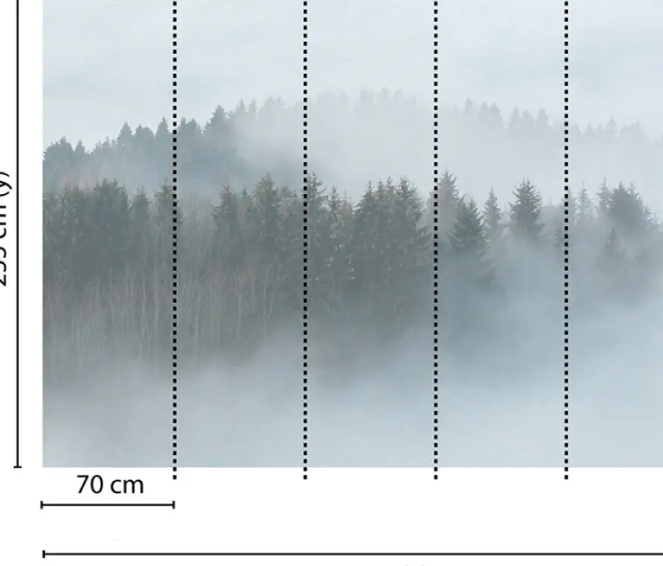 MISTY FOREST 3