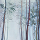 AQUARELLE FOREST