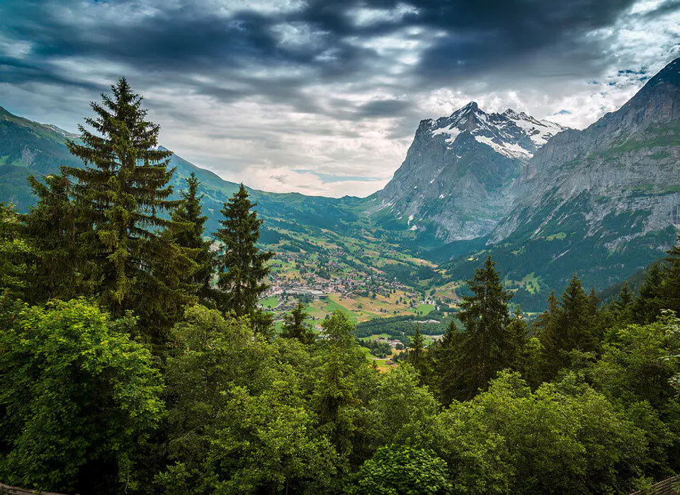 MOUNTAIN VIEWS 1