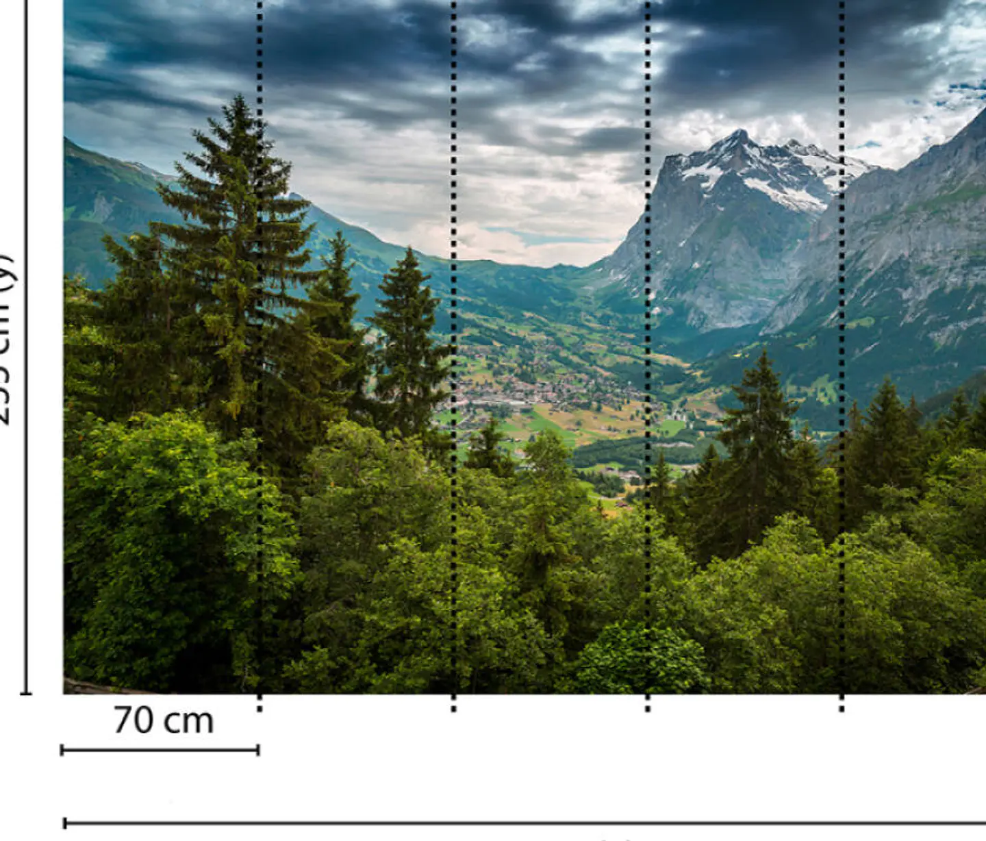 MOUNTAIN VIEWS 3