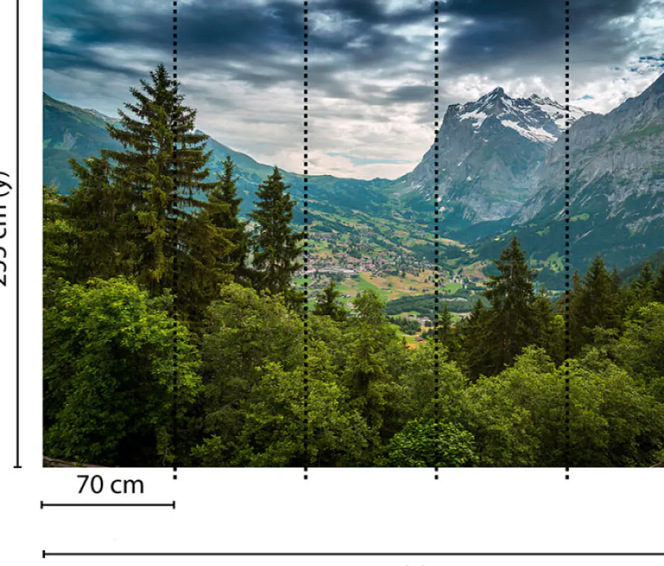 MOUNTAIN VIEWS 3