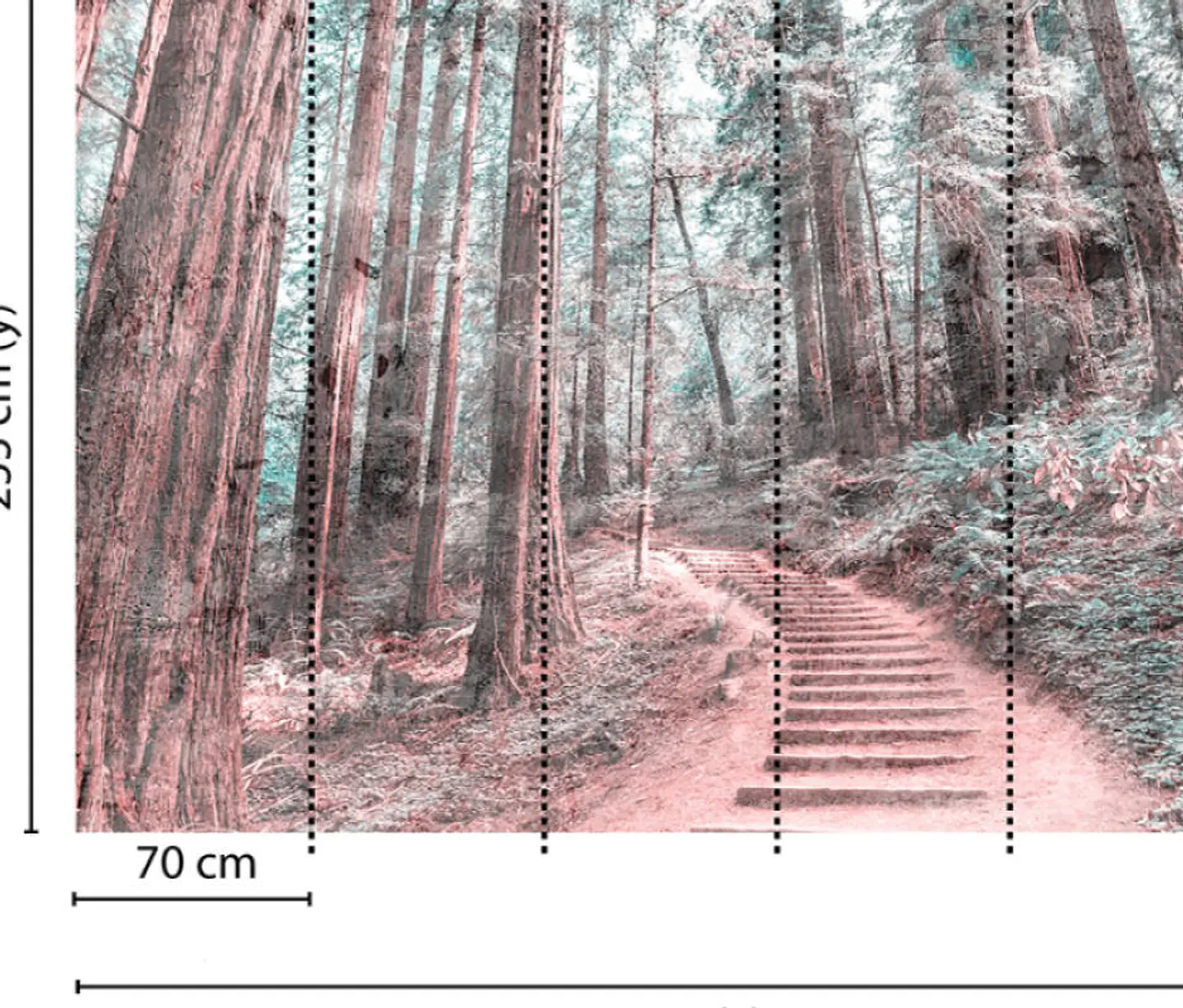 FOREST WALK 2 3
