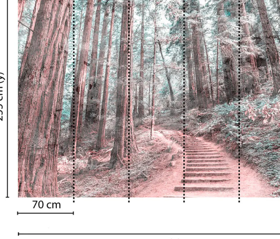 FOREST WALK 2 3