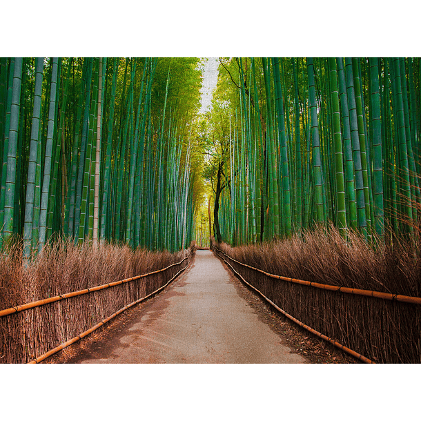 BAMBOO WALK