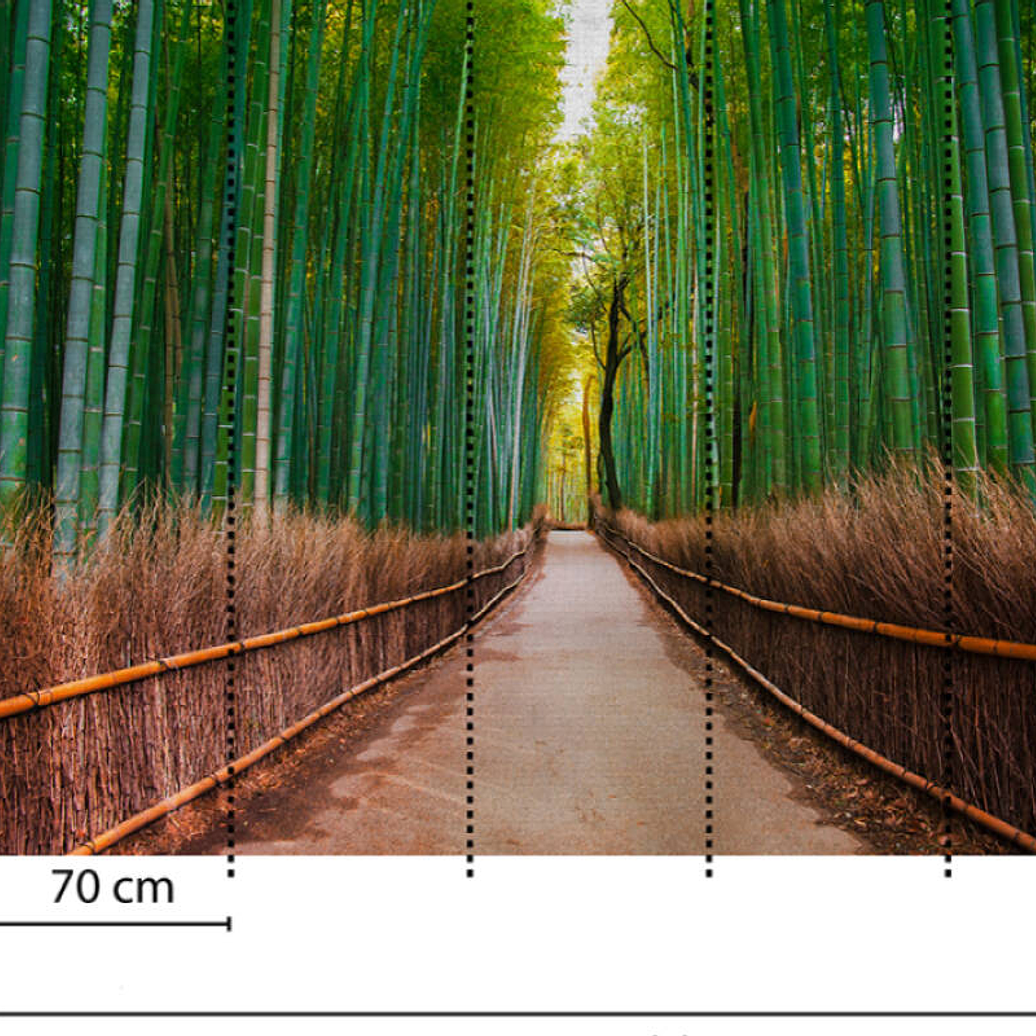 BAMBOO WALK 3