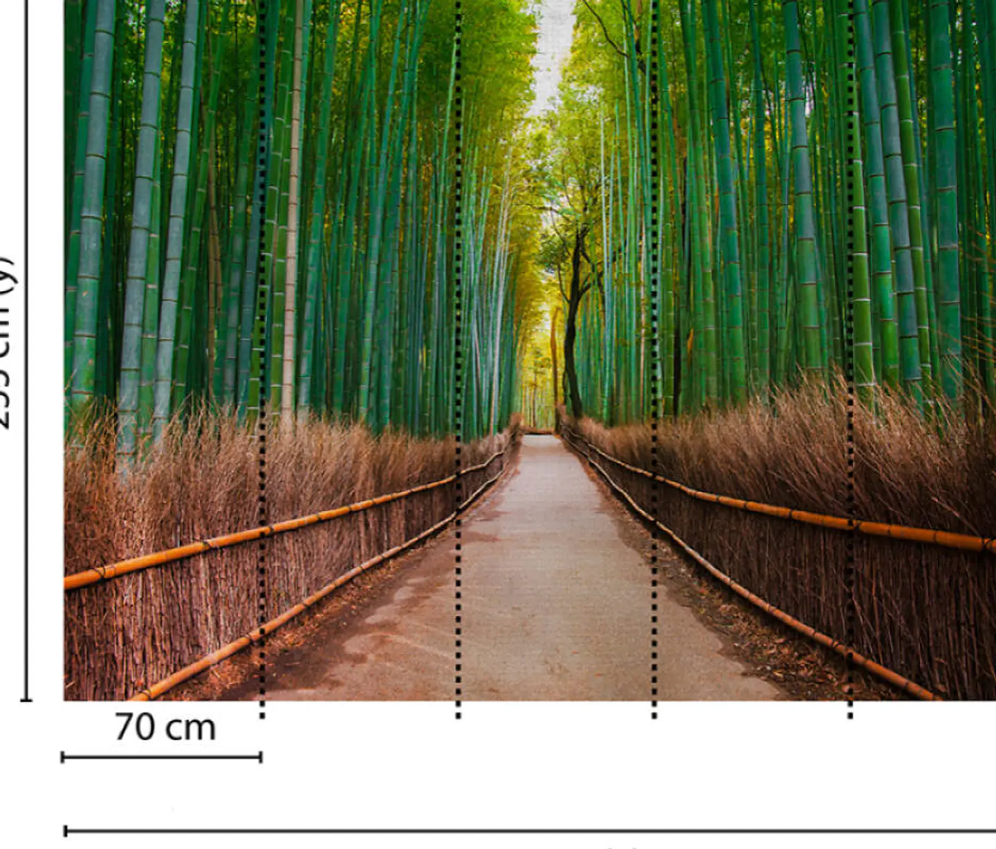 BAMBOO WALK 3