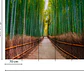 BAMBOO WALK - thumbnail 3