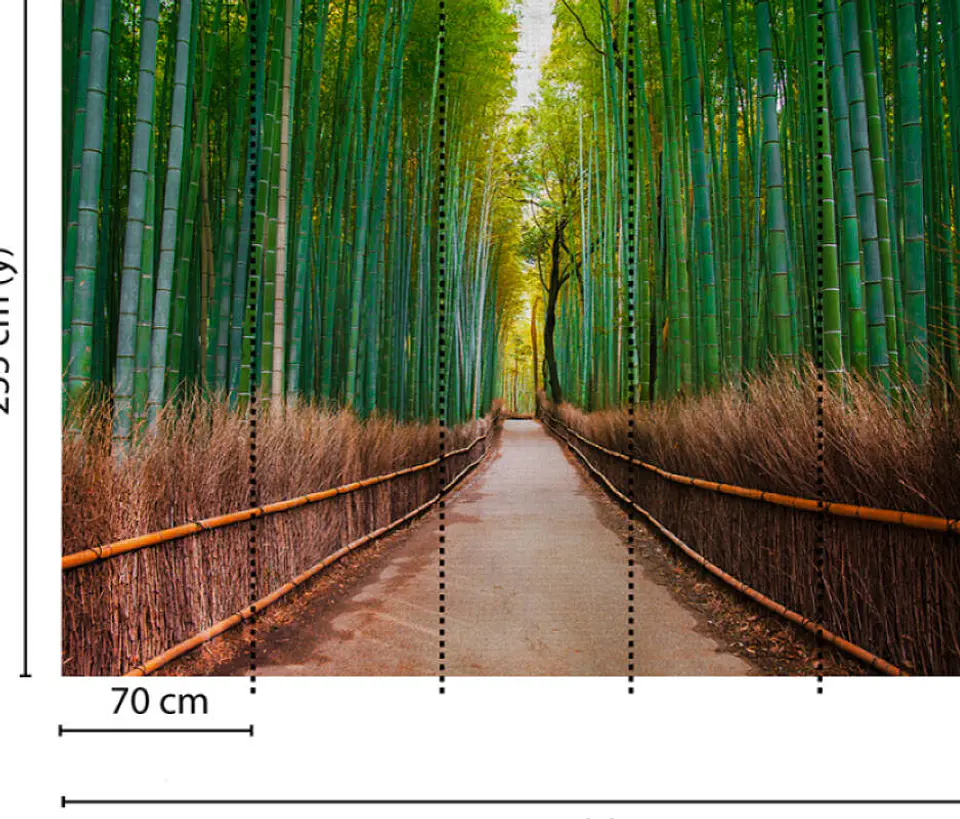 BAMBOO WALK 3