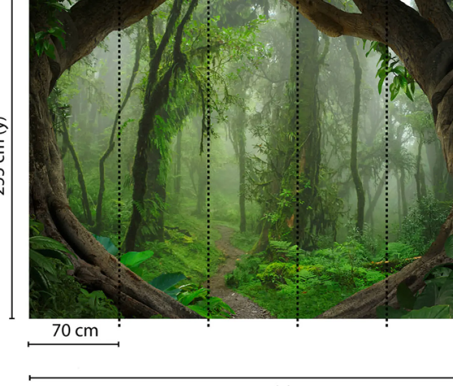 TROPICAL FOREST  3