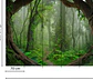 TROPICAL FOREST  - thumbnail 3