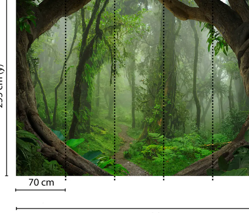 TROPICAL FOREST  3