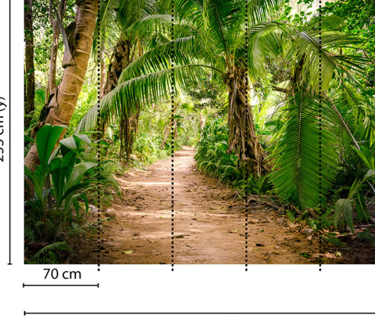 PALM WALK 3