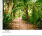 PALM WALK - thumbnail 3