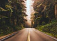 ROAD TRIP - Miniatura 1