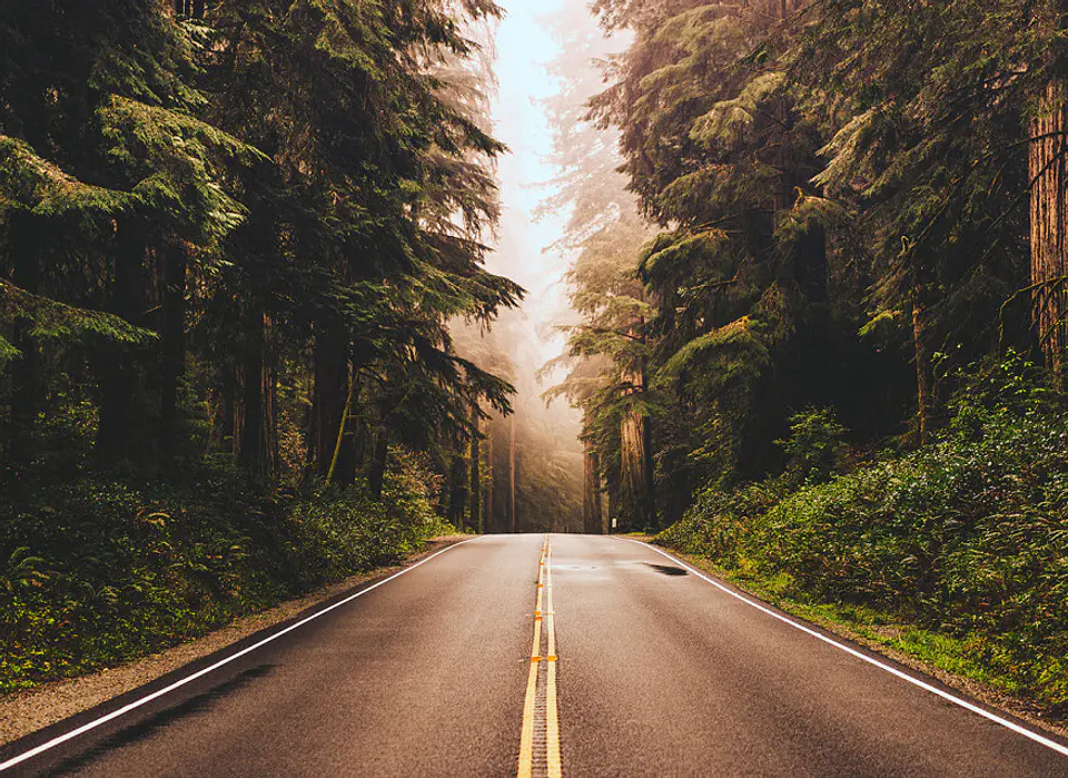 ROAD TRIP 1