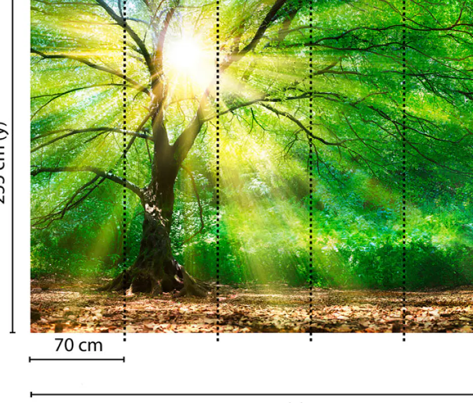 FOREST LIGHT 3