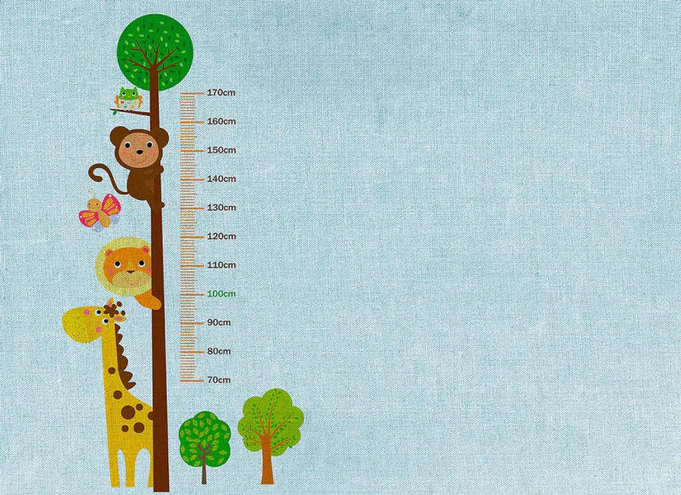 KIDS GROW STICK 1 1