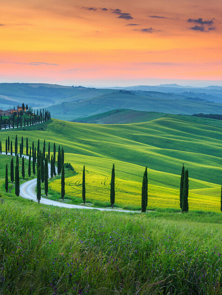 TUSCANY 1 1