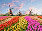 ZAANSE SCHANS - thumbnail 1