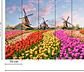 ZAANSE SCHANS - thumbnail 3